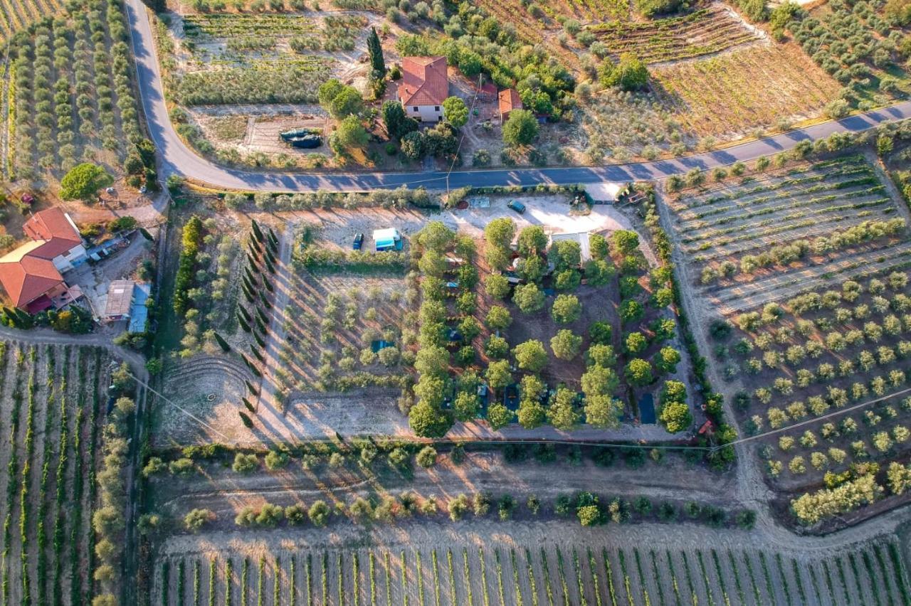 Agricamping Poggio Ai Pini Wine Camping تْشيرتالدو المظهر الخارجي الصورة