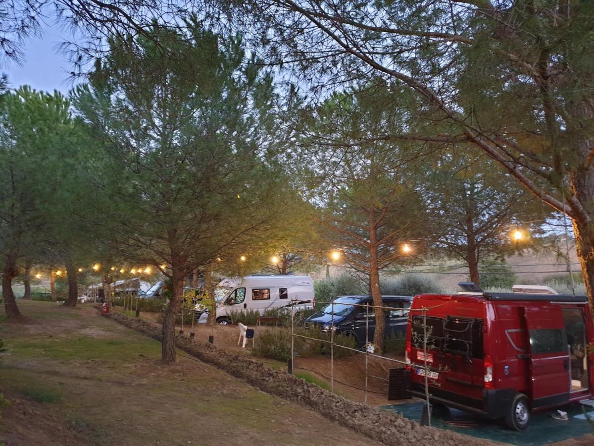 Agricamping Poggio Ai Pini Wine Camping تْشيرتالدو المظهر الخارجي الصورة