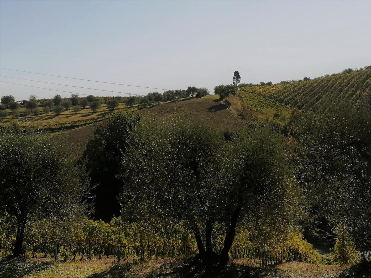 فندق Agricamping Poggio Ai Pini Wine Camping تْشيرتالدو المظهر الخارجي الصورة