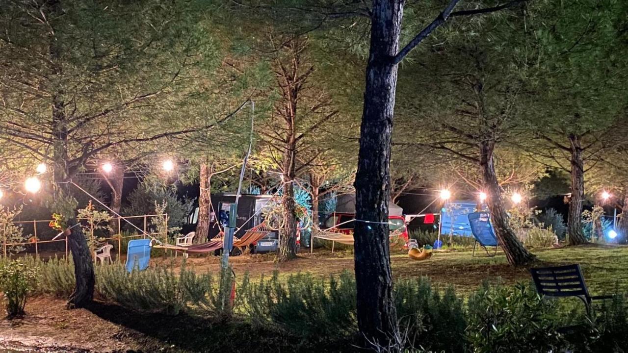 Agricamping Poggio Ai Pini Wine Camping تْشيرتالدو المظهر الخارجي الصورة