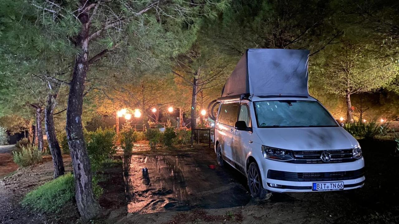 Agricamping Poggio Ai Pini Wine Camping تْشيرتالدو المظهر الخارجي الصورة