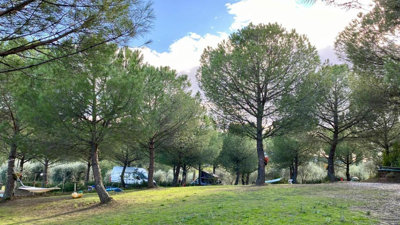 فندق Agricamping Poggio Ai Pini Wine Camping تْشيرتالدو المظهر الخارجي الصورة