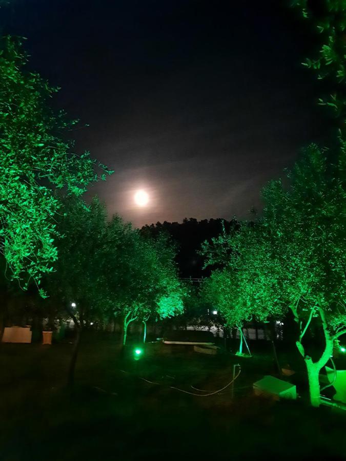 Agricamping Poggio Ai Pini Wine Camping تْشيرتالدو المظهر الخارجي الصورة