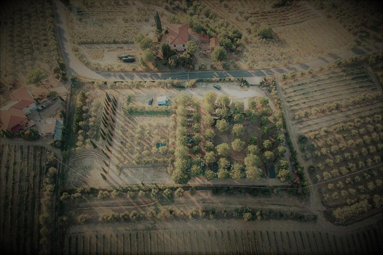 Agricamping Poggio Ai Pini Wine Camping تْشيرتالدو المظهر الخارجي الصورة