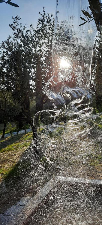 Agricamping Poggio Ai Pini Wine Camping تْشيرتالدو المظهر الخارجي الصورة