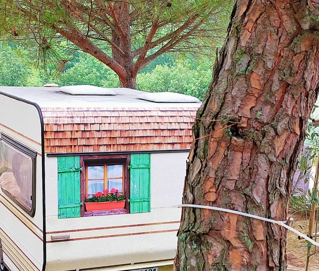 Agricamping Poggio Ai Pini Wine Camping تْشيرتالدو المظهر الخارجي الصورة
