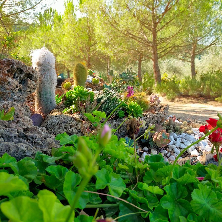 Agricamping Poggio Ai Pini Wine Camping تْشيرتالدو المظهر الخارجي الصورة