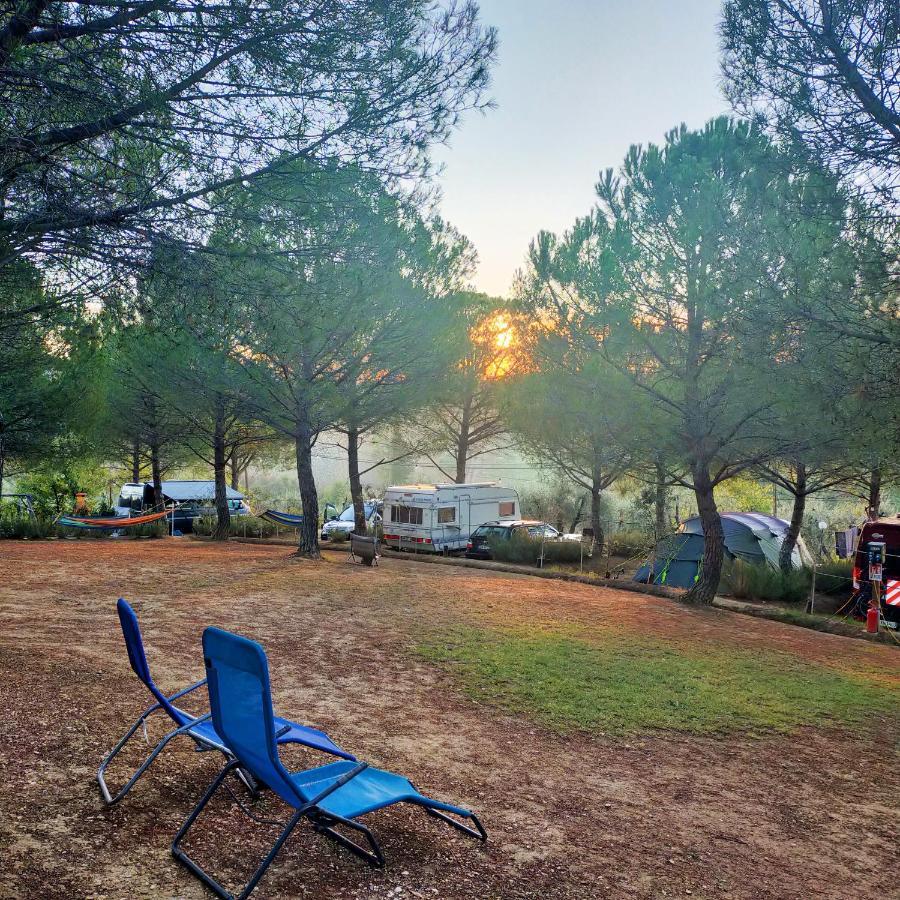 Agricamping Poggio Ai Pini Wine Camping تْشيرتالدو المظهر الخارجي الصورة