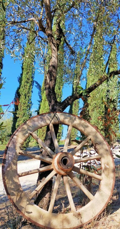 Agricamping Poggio Ai Pini Wine Camping تْشيرتالدو المظهر الخارجي الصورة