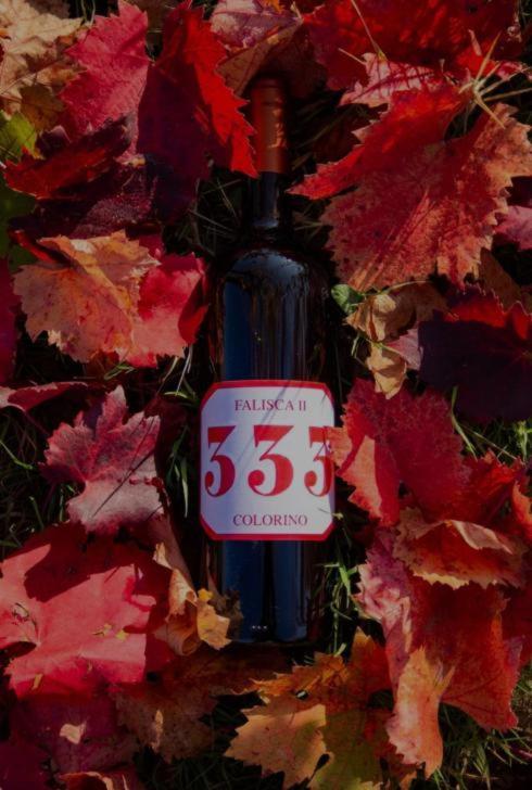 Agricamping Poggio Ai Pini Wine Camping تْشيرتالدو المظهر الخارجي الصورة