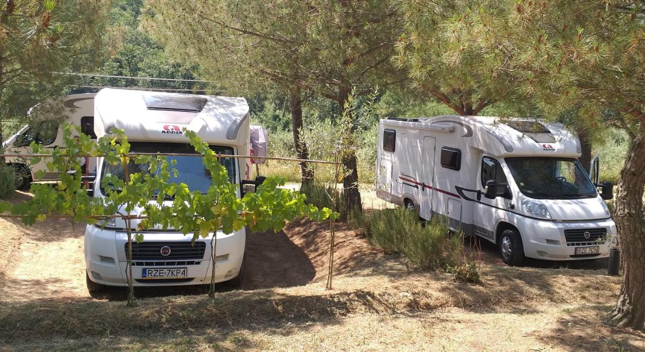Agricamping Poggio Ai Pini Wine Camping تْشيرتالدو المظهر الخارجي الصورة